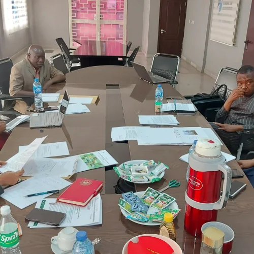 De-Nexus Center Abuja_Strategic partnership meeting
